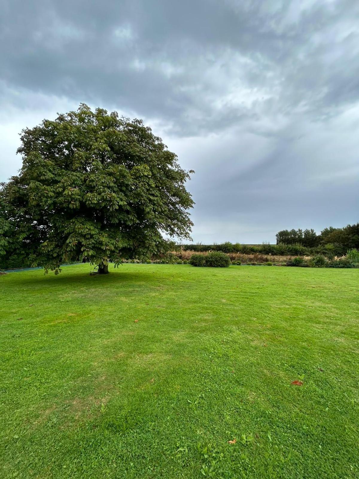 Villa La Nora Jolie à Tocqueville-sur-Eu Extérieur photo